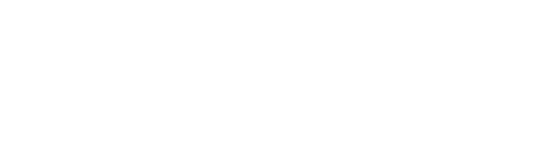 Briscoes